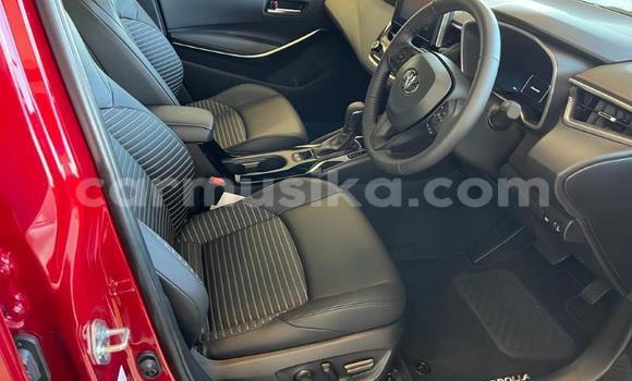 Nunua Ilio tumika Toyota Corolla Nyekundu Gari ndani ya Beitbridge nchini Matabeleland Kusini Nunua Ilio tumika Toyota Corolla Nyekundu Gari ndani ya Beitbridge nchini Matabeleland Kusini