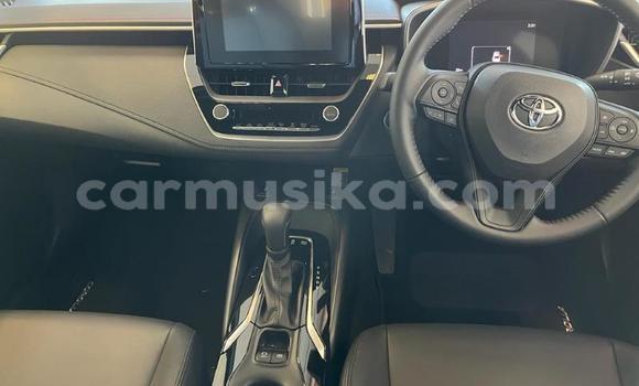 Nunua Ilio tumika Toyota Corolla Nyekundu Gari ndani ya Beitbridge nchini Matabeleland Kusini Nunua Ilio tumika Toyota Corolla Nyekundu Gari ndani ya Beitbridge nchini Matabeleland Kusini