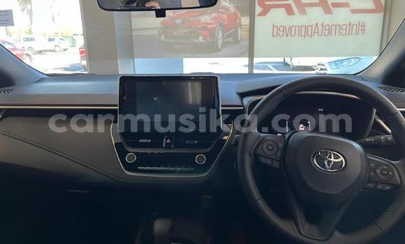 Nunua Ilio tumika Toyota Corolla Nyekundu Gari ndani ya Beitbridge nchini Matabeleland Kusini Nunua Ilio tumika Toyota Corolla Nyekundu Gari ndani ya Beitbridge nchini Matabeleland Kusini