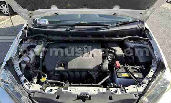 Tenga Tsaru Toyota Wish Chena Mota in Beitbridge in Matabeleland South Tenga Tsaru Toyota Wish Chena Mota in Beitbridge in Matabeleland South