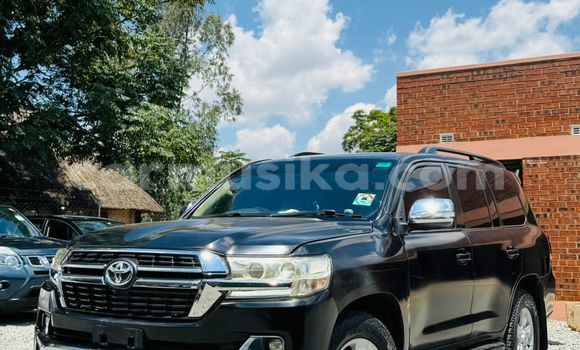 Buy New Toyota Land Cruiser Black Car in Harare in Harare