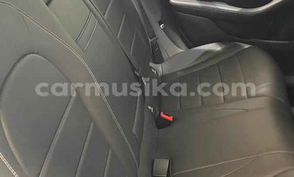 Tenga Tsaru Mercedes-Benz GLC 250D Sirivha Mota in Harare in Harare Tenga Tsaru Mercedes-Benz GLC 250D Sirivha Mota in Harare in Harare