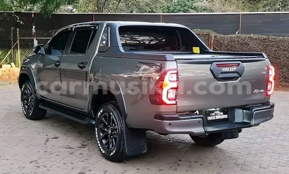 Nunua Ilio tumika Toyota Hilux Brown Gari ndani ya Harare nchini Harare