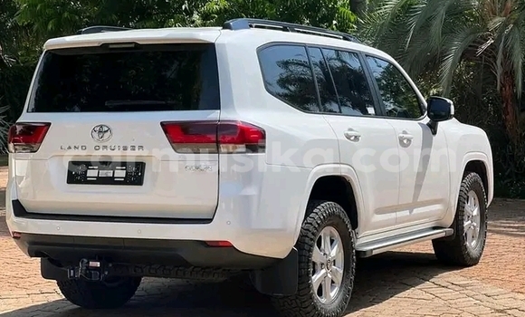 Tenga Tsaru Toyota Land Cruiser Chena Mota in Harare in Harare