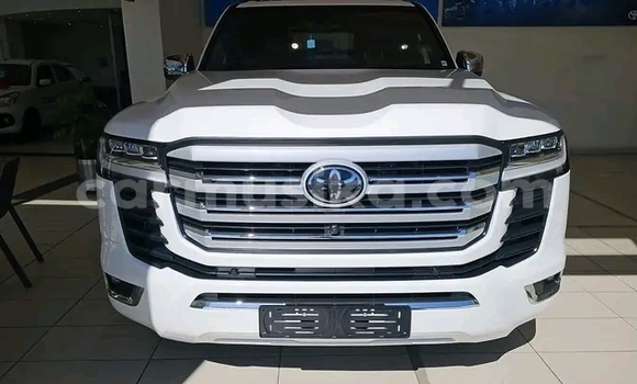 Tenga Tsaru Toyota Sports 800 Chena Mota in Harare in Harare