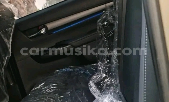 Acheter Occasion Voiture Toyota Hilux Noir à Harare, Harare Acheter Occasion Voiture Toyota Hilux Noir à Harare, Harare