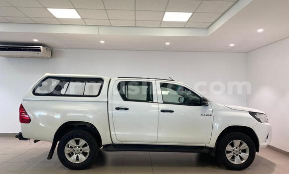 Tenga Tsaru Toyota Hilux Chena Mota in Harare in Harare Tenga Tsaru Toyota Hilux Chena Mota in Harare in Harare