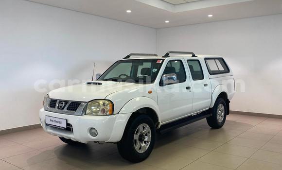 Buy Used Nissan NP 300 White Car in Harare in Harare