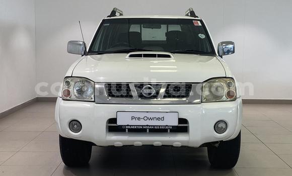 Tenga Tsaru Nissan NP 300 Chena Mota in Harare in Harare Tenga Tsaru Nissan NP 300 Chena Mota in Harare in Harare