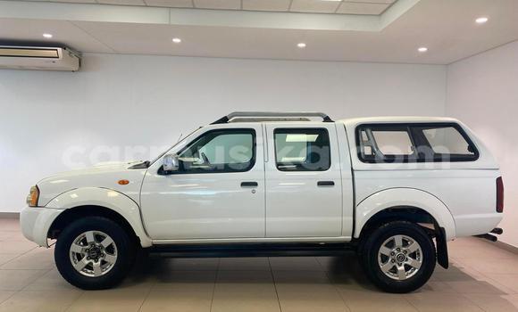 Tenga Tsaru Nissan NP 300 Chena Mota in Harare in Harare Tenga Tsaru Nissan NP 300 Chena Mota in Harare in Harare