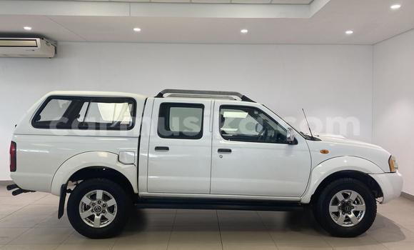 Tenga Tsaru Nissan NP 300 Chena Mota in Harare in Harare Tenga Tsaru Nissan NP 300 Chena Mota in Harare in Harare