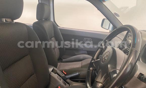 Tenga Tsaru Nissan NP 300 Chena Mota in Harare in Harare Tenga Tsaru Nissan NP 300 Chena Mota in Harare in Harare