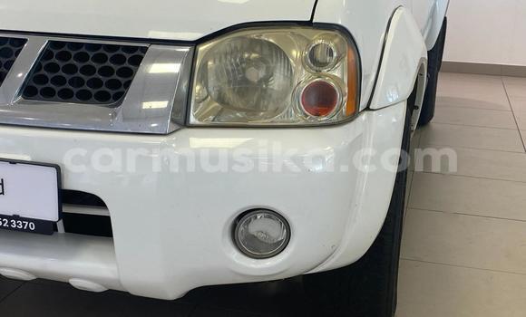 Tenga Tsaru Nissan NP 300 Chena Mota in Harare in Harare Tenga Tsaru Nissan NP 300 Chena Mota in Harare in Harare