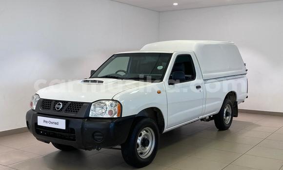 Buy Used Nissan NP 300 White Car in Harare in Harare