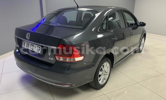 Buy Used Volkswagen Polo Other Car in Beitbridge in Matabeleland South Buy Used Volkswagen Polo Other Car in Beitbridge in Matabeleland South