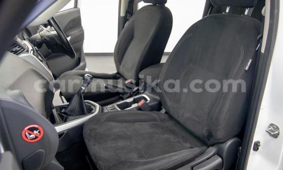 Buy Used Nissan Navara White Car in Beitbridge in Matabeleland South Buy Used Nissan Navara White Car in Beitbridge in Matabeleland South