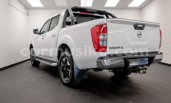 Buy Used Nissan Navara White Car in Beitbridge in Matabeleland South Buy Used Nissan Navara White Car in Beitbridge in Matabeleland South