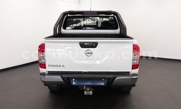 Buy Used Nissan Navara White Car in Beitbridge in Matabeleland South Buy Used Nissan Navara White Car in Beitbridge in Matabeleland South