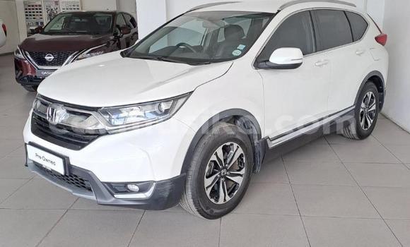 Buy Used Honda CR–V White Car in Beitbridge in Matabeleland South Buy Used Honda CR–V White Car in Beitbridge in Matabeleland South