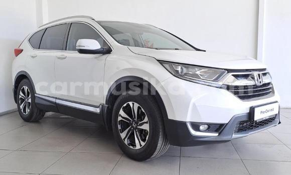 Buy Used Honda CR–V White Car in Beitbridge in Matabeleland South Buy Used Honda CR–V White Car in Beitbridge in Matabeleland South