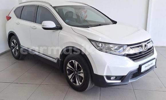 Buy Used Honda CR–V White Car in Beitbridge in Matabeleland South Buy Used Honda CR–V White Car in Beitbridge in Matabeleland South