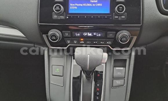 Buy Used Honda CR–V White Car in Beitbridge in Matabeleland South Buy Used Honda CR–V White Car in Beitbridge in Matabeleland South