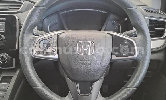 Buy Used Honda CR–V White Car in Beitbridge in Matabeleland South Buy Used Honda CR–V White Car in Beitbridge in Matabeleland South