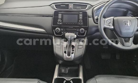 Buy Used Honda CR–V White Car in Beitbridge in Matabeleland South Buy Used Honda CR–V White Car in Beitbridge in Matabeleland South