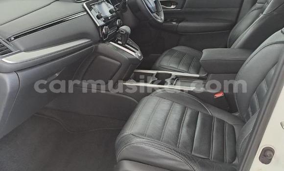 Buy Used Honda CR–V White Car in Beitbridge in Matabeleland South Buy Used Honda CR–V White Car in Beitbridge in Matabeleland South