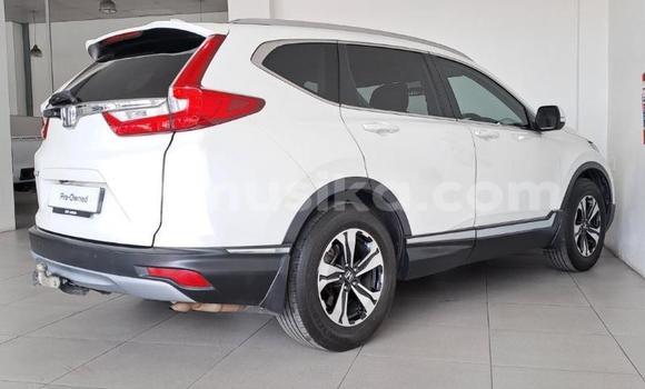Buy Used Honda CR–V White Car in Beitbridge in Matabeleland South Buy Used Honda CR–V White Car in Beitbridge in Matabeleland South