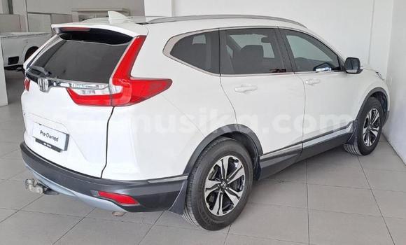 Buy Used Honda CR–V White Car in Beitbridge in Matabeleland South Buy Used Honda CR–V White Car in Beitbridge in Matabeleland South