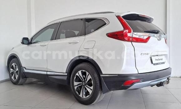 Buy Used Honda CR–V White Car in Beitbridge in Matabeleland South Buy Used Honda CR–V White Car in Beitbridge in Matabeleland South