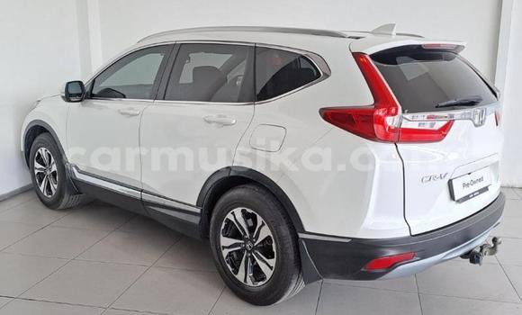 Buy Used Honda CR–V White Car in Beitbridge in Matabeleland South Buy Used Honda CR–V White Car in Beitbridge in Matabeleland South