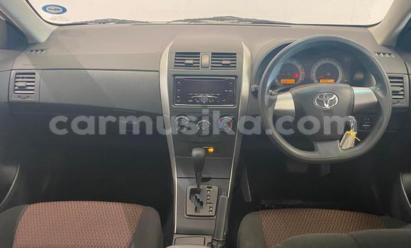 Acheter Occasion Voiture Toyota Corolla Blanc à Harare, Harare Acheter Occasion Voiture Toyota Corolla Blanc à Harare, Harare