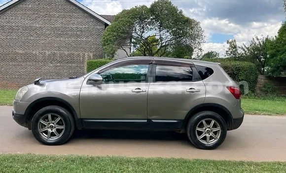 Buy Used Nissan Dualis Beige Car in Harare in Harare Buy Used Nissan Dualis Beige Car in Harare in Harare