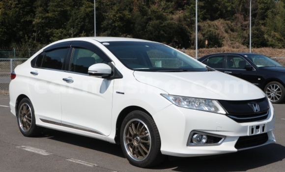 Tenga Tsaru Honda Grace Chena Mota in Beitbridge in Matabeleland South