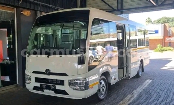Acheter Occasion Voiture Toyota Coaster Blanc à Harare, Harare Acheter Occasion Voiture Toyota Coaster Blanc à Harare, Harare