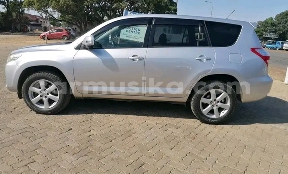 Tenga Tsaru Toyota Vanguard Girinhi Mota in Harare in Harare