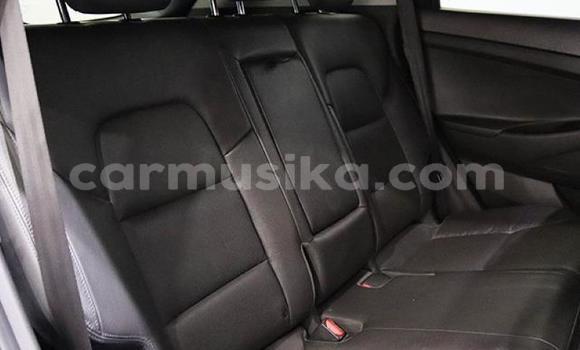 Buy Used Hyundai Tucson Blue Car in Beitbridge in Matabeleland South Buy Used Hyundai Tucson Blue Car in Beitbridge in Matabeleland South