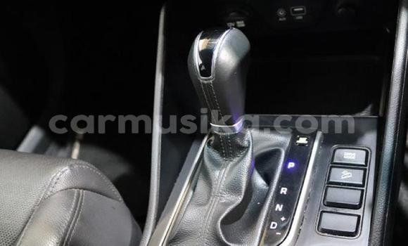 Buy Used Hyundai Tucson Blue Car in Beitbridge in Matabeleland South Buy Used Hyundai Tucson Blue Car in Beitbridge in Matabeleland South