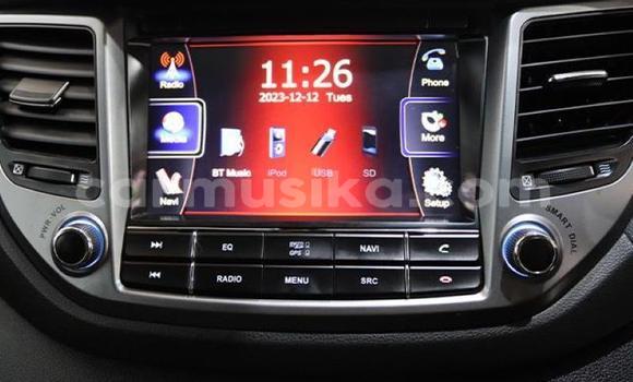 Buy Used Hyundai Tucson Blue Car in Beitbridge in Matabeleland South Buy Used Hyundai Tucson Blue Car in Beitbridge in Matabeleland South