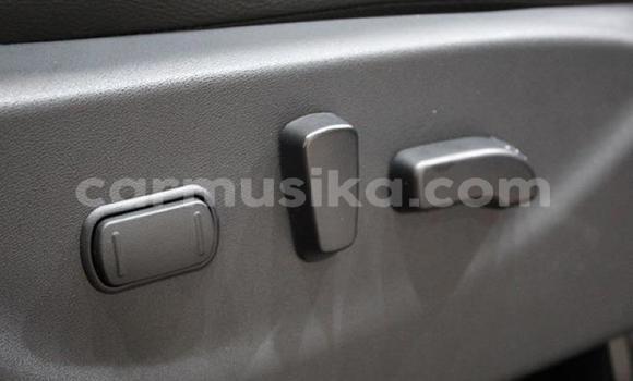 Buy Used Nissan Navara Red Car in Bulawayo in Bulawayo Buy Used Nissan Navara Red Car in Bulawayo in Bulawayo