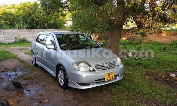 Buy Used Toyota Allex Silver Car in Bulawayo in Bulawayo Buy Used Toyota Allex Silver Car in Bulawayo in Bulawayo