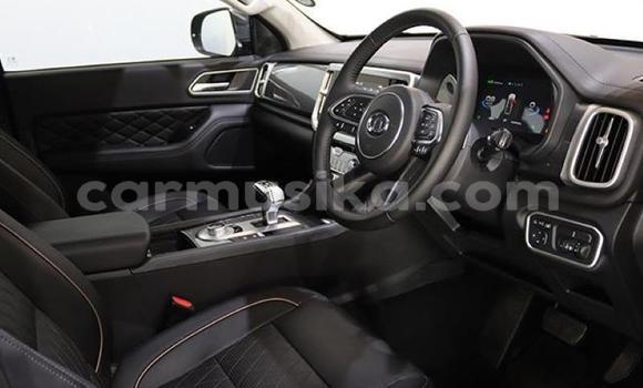 Buy Used GMC Sierra Blue Car in Beitbridge in Matabeleland South Buy Used GMC Sierra Blue Car in Beitbridge in Matabeleland South