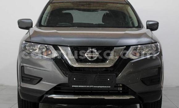 Buy Used Nissan X–Trail Silver Car in Beitbridge in Matabeleland South Buy Used Nissan X–Trail Silver Car in Beitbridge in Matabeleland South