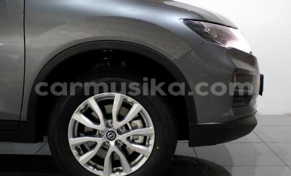 Buy Used Nissan X–Trail Silver Car in Beitbridge in Matabeleland South Buy Used Nissan X–Trail Silver Car in Beitbridge in Matabeleland South