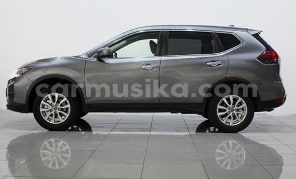 Buy Used Nissan X–Trail Silver Car in Beitbridge in Matabeleland South Buy Used Nissan X–Trail Silver Car in Beitbridge in Matabeleland South