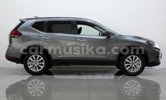 Buy Used Nissan X–Trail Silver Car in Beitbridge in Matabeleland South Buy Used Nissan X–Trail Silver Car in Beitbridge in Matabeleland South