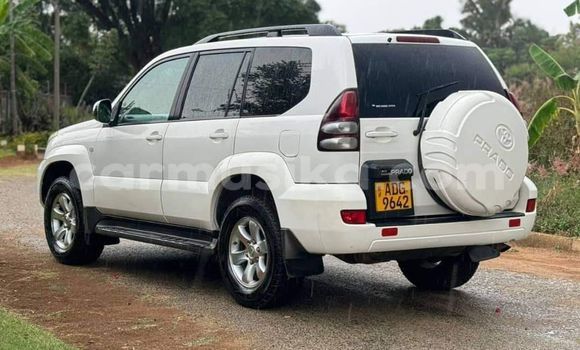 Buy Used Toyota Prado Other Car in Harare in Harare