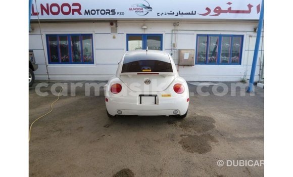 Buy Import Volkswagen Beetle White Car in Import - Dubai in Harare Buy Import Volkswagen Beetle White Car in Import - Dubai in Harare